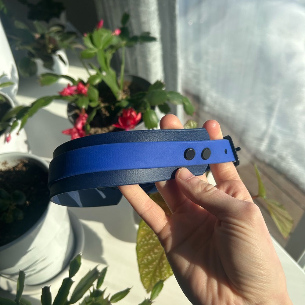 Reign Outdoors Collar The Yeti 1.5” Biothane with 3/4” All around strap